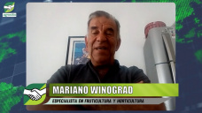 Casos de Productores que metieron 5ta A FONDO en la nueva Argentina de Milei; con Mariano Winograd - agrnomo