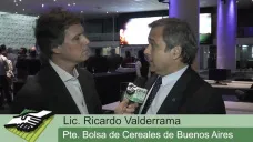 TV: 