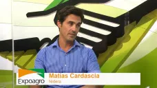 TV: 