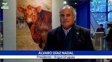 Ganadería rioplatense: genética Angus y el modelo exportador de Uruguay al mundo; con A. Díaz Nadal