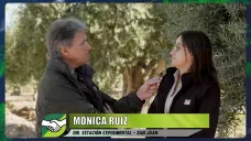 Argentina un 