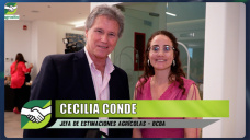 Del “pan bajo el brazo” al “campañón”: las claves que explican las 145 Mill t; con Cecilia Conde - Bolsa de Cereales