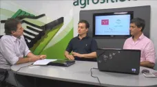 TV: Hembra y macho a $23,40... ¿un buen indicador ganadero?; con L. Colombo y J. Llauró