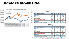 Trigo: Bajan los DEX para el cereal ¿qué pasa con el precio?; con Lorena D´ Angelo - Clínica de Granos