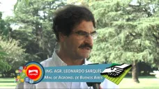 TV: 