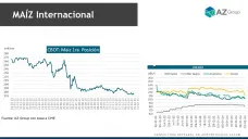 Maíz: Mejor clima y la cercanía de la cosecha presiona el precio disponible; con Lorena D´Angelo - Clínica de Granos