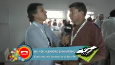 TV: 
