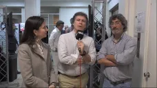 TV: 