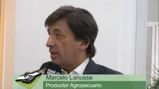 TV: 