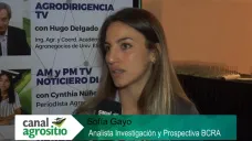 TV: 