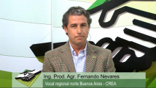 TV: Se viene la jornada CREA... Por qu hacer ganadera en campos agrcolas?; con F. Nevares