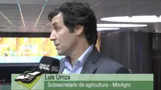 TV:  