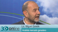 30 online B5: ¿Podemos llegar a 300.000 Tn de exportación con falta de Nov y Vaca pesada?; con M. Gorelik