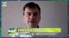 Para el Campo, ser mejor la economa de Massa o la de Milei?; con Ernesto OConnor - economista