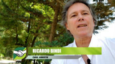 Quiere el campo que Alberto tenga un gobierno exitoso?; por Ricardo Bindi