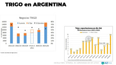 Trigo: Mejoro el cereal en el exterior, ¿por qué no en ARG?; con Lorena D´ Angelo - Clínica de Granos