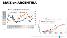 Se vende el Maíz.., pero se cosecha la Soja; con Lorena D´ Angelo - Clínica de Granos