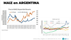 Maíz: continúan los buenos precios ¿y en el 2026?; con Lorena D´ Angelo - Clínica de Granos
