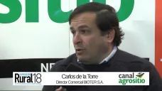 TV: 