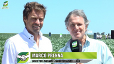 Qu pasar con el abastecimiento y precios de fertilizantes y fitosanitarios?; con Marco Prenna - Dir. ACA