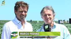 ¿Qué pasará con el abastecimiento y precios de fertilizantes y fitosanitarios?; con Marco Prenna - Dir. ACA