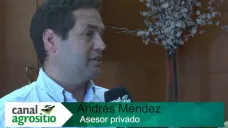TV: 