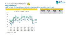 Maíz: suben las cotizaciones en Chicago tras récord de ventas externas; con Clara Treachi - Clínica de Granos