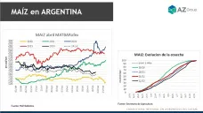 Maíz: Comenzó la cosecha con saldo dispar; con Lorena D´Angelo - Clínica de Granos