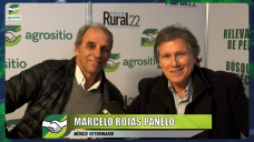 Qu estrategias Ganaderas est trabajando la Comisin de Carnes de La Rural?; con M. Rojas Panelo - veterinario