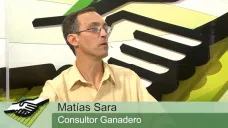 TV: ¿Cómo viene el mercado ganadero y qué podemos esperar?; con Matías Sara