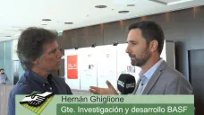 TV: 