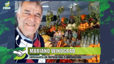 Nuevos hbitos alimentarios, consumidores empoderados, y oportunidades; con Mariano Winograd - agrnomo