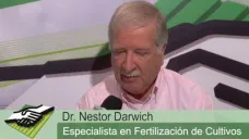 TV: Avances tecnológicos que permiten cambios a costos razonables; por N. Darwich