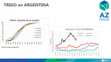 Trigo: Con clima desfavorable los precios no pueden seguir bajando, con Lorena DAngelo - Clnica de Granos