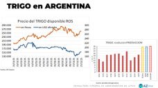 Trigo: balance negativo en precios para 2025 ¿qué hacemos en 2026?; con Lorena D´ Angelo - Clínica de Granos