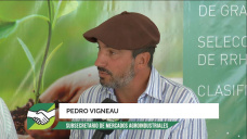 Qu le va a sumar Pedro Vigneau al Campo como Subsecretario en Agroindustria y Produccin?