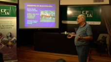 Principales Caractersticas de la raza Bovino Crillo Argentino