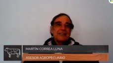 Cómo transformar campos agrícolas en mixtos con 1200 Kg carne /ha; con M. Correa Luna