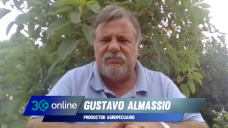 Cash crops, Wangus, ovinos y turismo gourmet a campo; con Gustavo Almassio