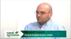 TV: 