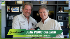 Colombo & Magliano remató 15.500 cabezas y 