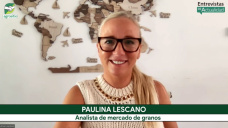Ingeniería comercial: buenas cosechas en Argentina, Brasil, EE.UU., y oportunidades de venta; con Paulina Lescano - agrónoma