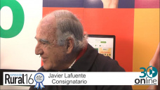 30 online B2: ¿Qué va a pasar con los precios cuando los novillos retenidos salgan al mercado?; con J. Lafuente