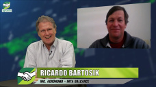 Cadenas de post-cosecha, silo-bolsas, y pérdidas en cosecha; con Ricardo Bartosik - INTA Balcarce