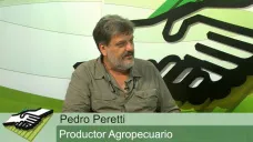 TV: 