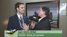  TV: 