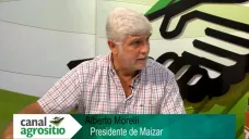 TV: 