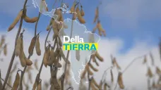 Uruguay TV: Clima, soja, suelos degradados y agronomía vía los académicos; con G. Reynoso y E. Hoffman
