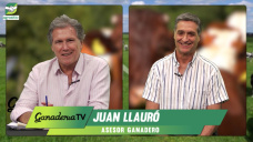 Ganadería 2026 con foco en: pasturas, mejoras, cría e invernada de precisión, y más kg / cab; con Juan Llauró - administrador