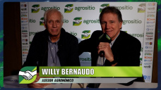 Willy Bernaudo, el agrnomo que trabaja con P. Bullrich y R. Frigerio y cmo sacar el Campo adelante